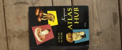 atlas hub