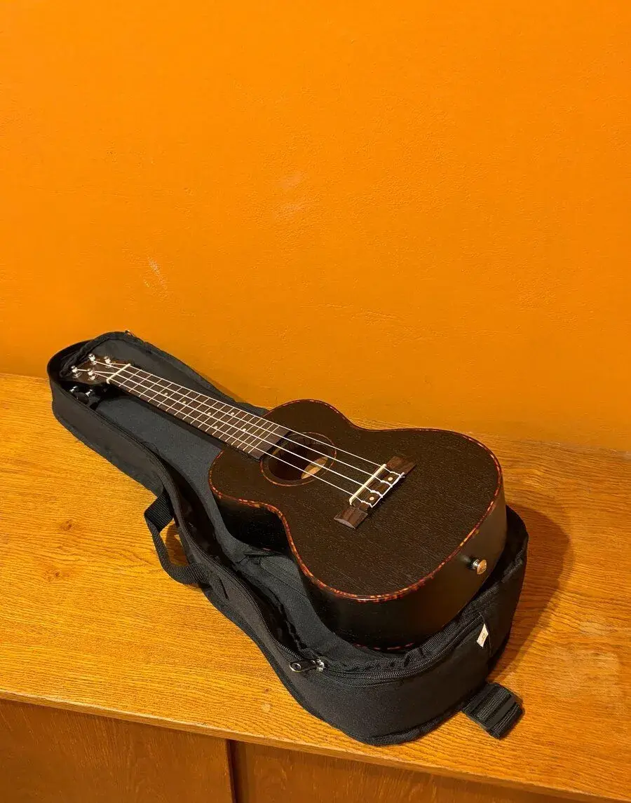 Koncertní ukulele Cascha HH 2300 černé + obal