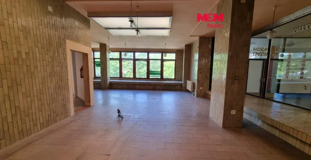 Pronájem obchodních prostor, 214 m², Orlová, ul. F. S. Tůmy
