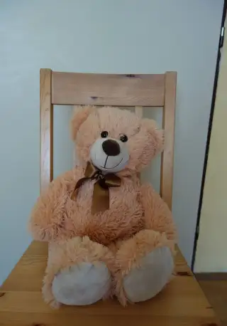 Plyšový medvěd