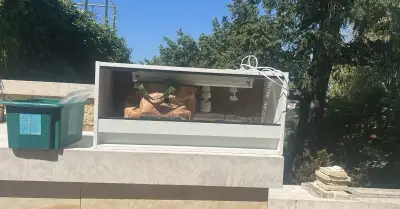 Kompletní terárium pro agamu vousatou