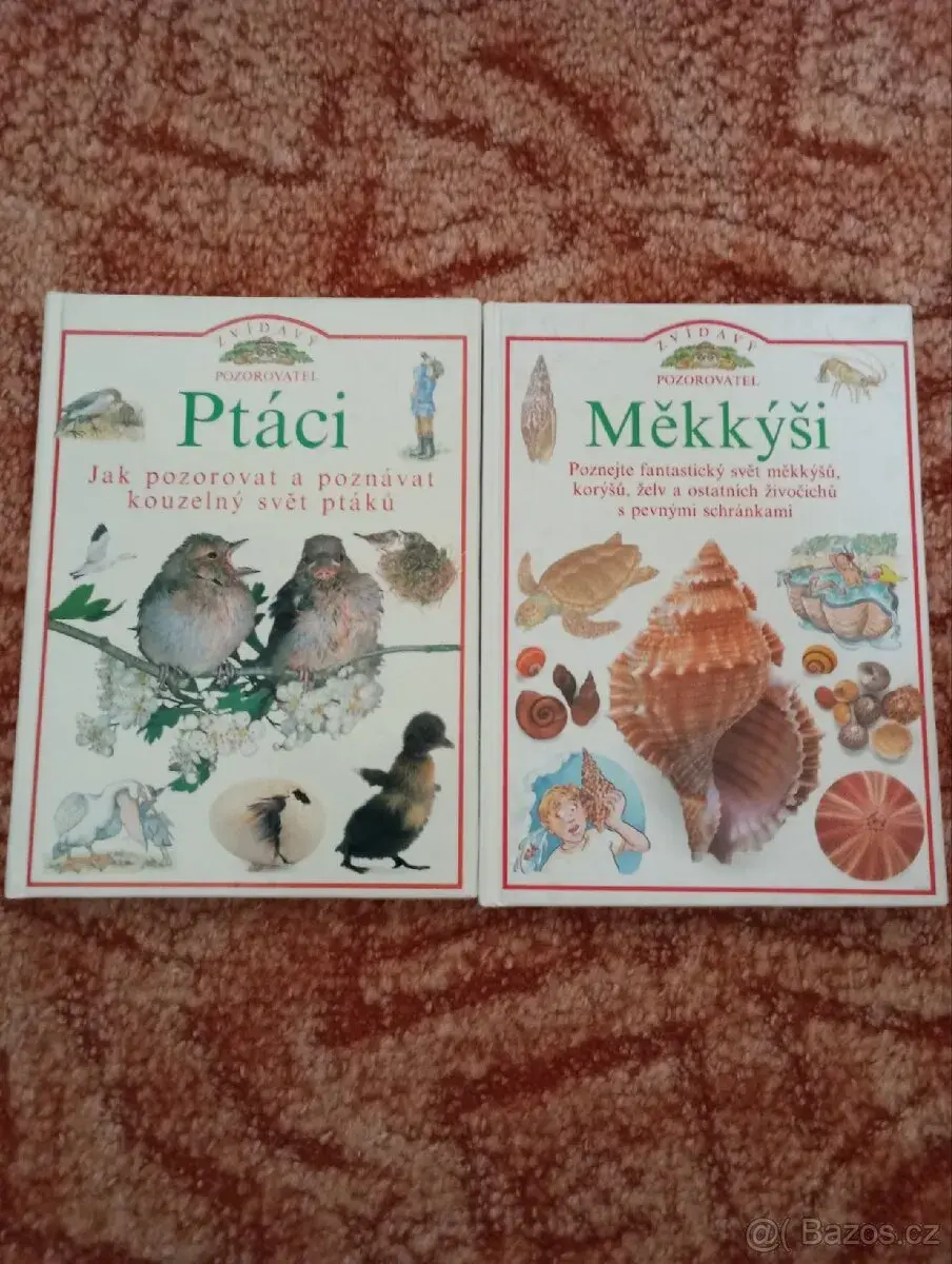 Ptáci, Měkkýši