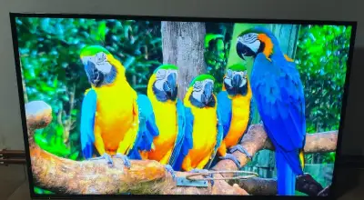 Televize