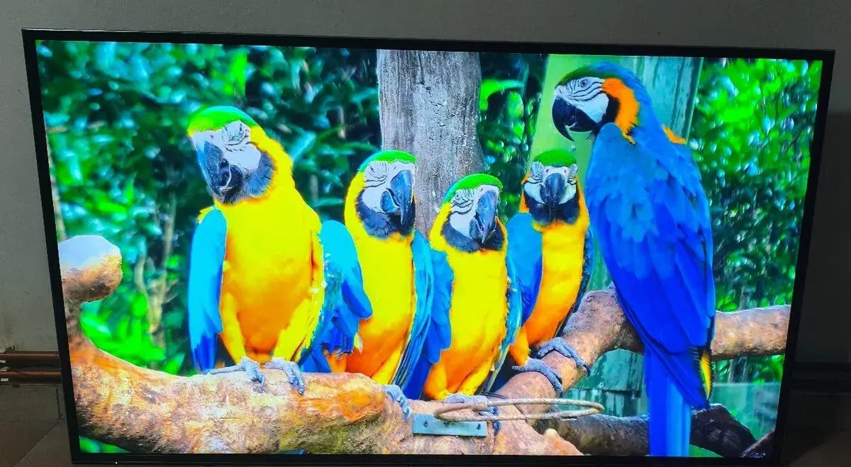 Televize