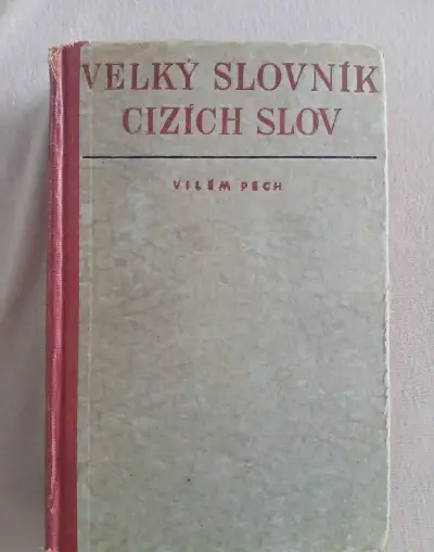Velký slovník cizích slov