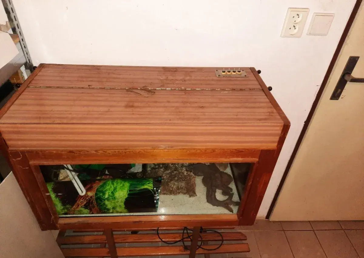 Akvarium