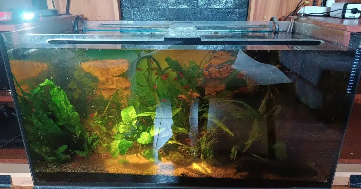 Akvarium 200l, 100x50x50, filtrace Eheim , vše 2 roky