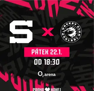 HC SPARTA PRAHA-HC OCELÁŘI TŘINEC, VIP KLUBOVÉ PATRO