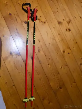 Leki Racing Kids 95