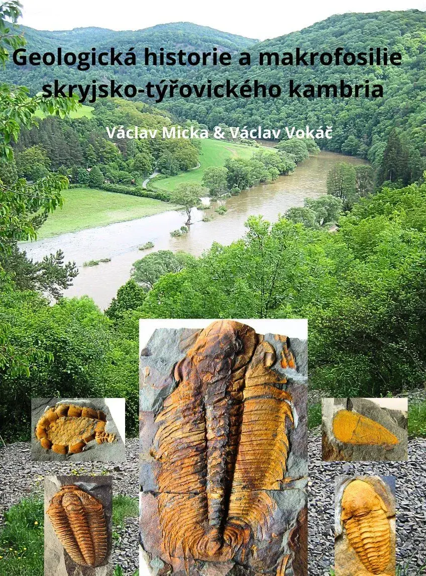 Geologická historie a makrofosilie skryjsko-týřovického kamb