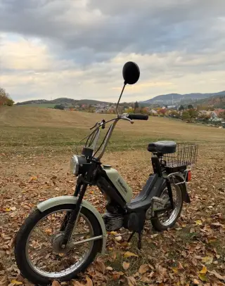 Babetta 210