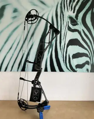 Kladkový luk Elite Ritual