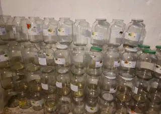Velké zavařovací sklenice 3,72 l