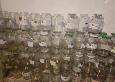 Velké zavařovací sklenice 3,72 l