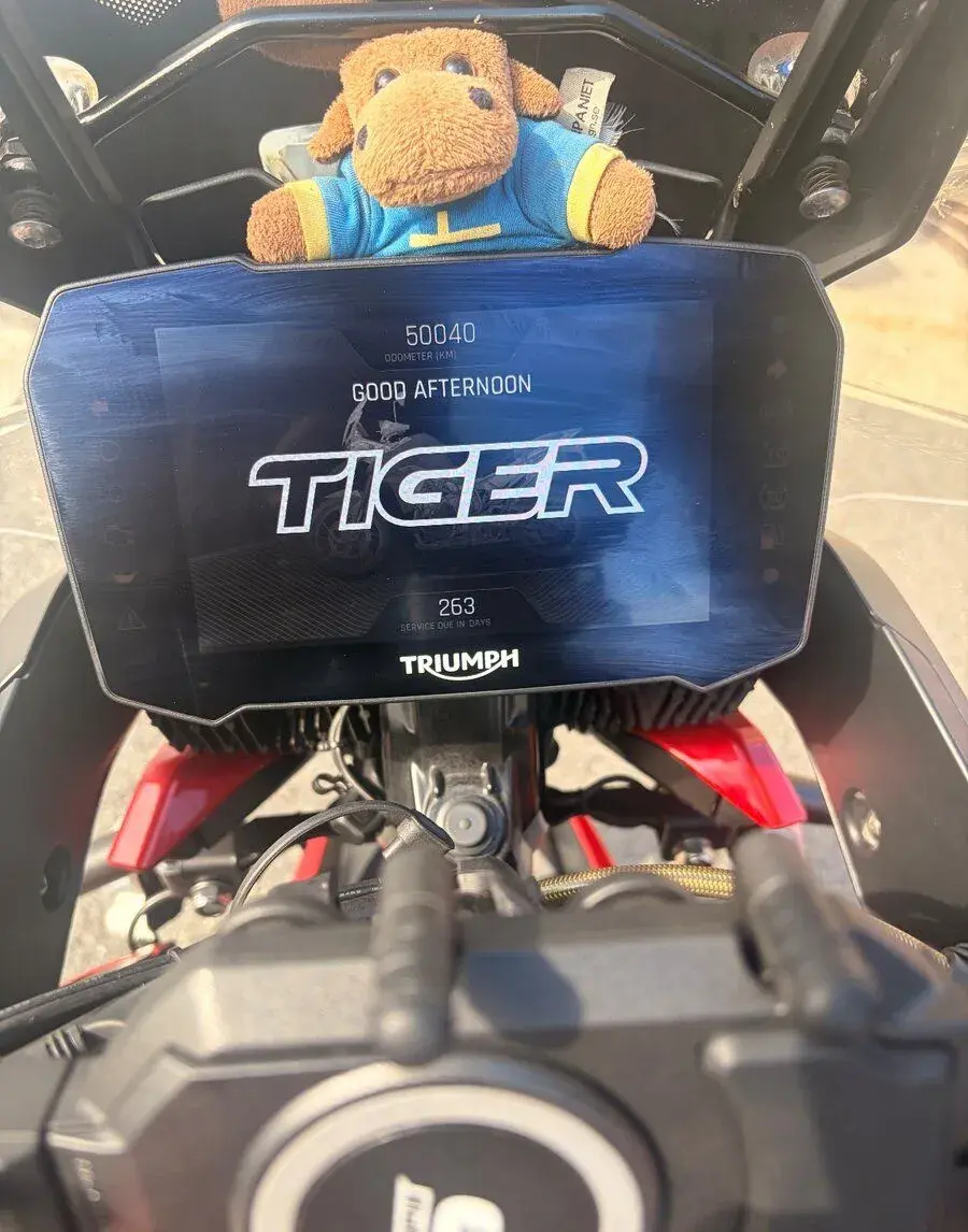 Triumph Tiger