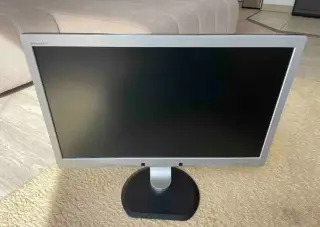 Monitor Philips Brilliance 231P4U – IPS, USB hub