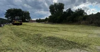 Kukuřičná siláž