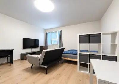 Pronájem bytu 1+kk Jaroslava Holečka 3307, Kladno