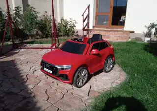 Elektro auto Audi Q8