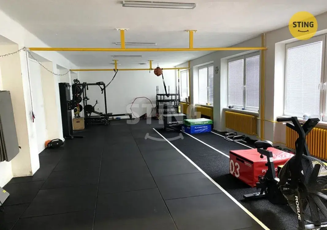 Tělocvična k pronájmu, 116m2, Mohelnice- Olomoucká, 133972