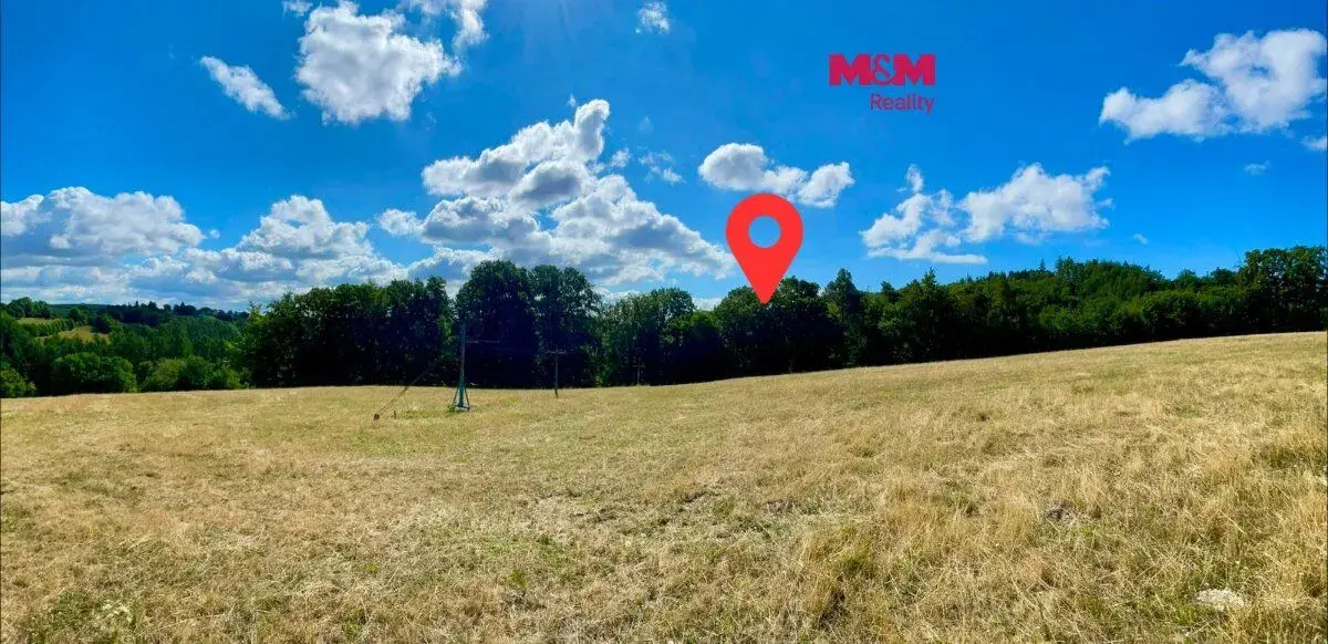 Prodej lesa, 5050 m², Hranice