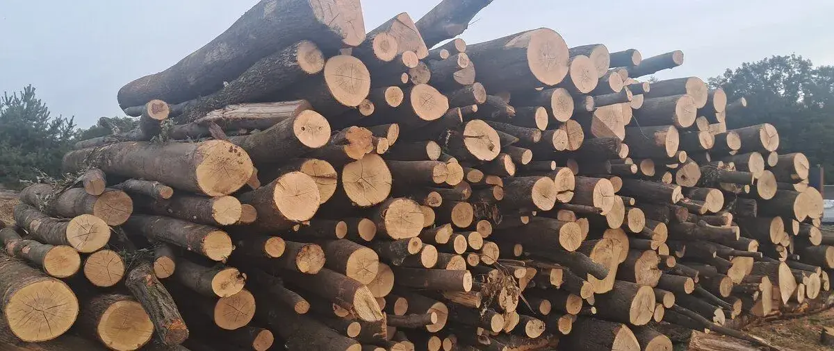Tvrdé polosuché dřevo metry