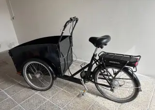 Elektrické cargo kolo