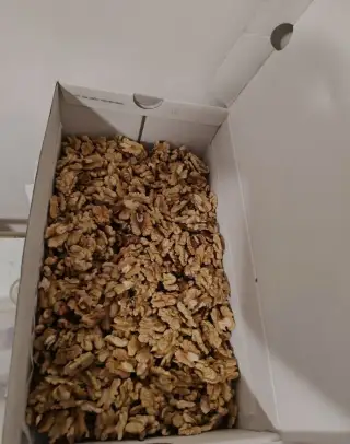 Letošní vlašské ořechy