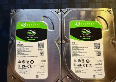 2x Seagate 1TB ST1000DM010 HDD SATA