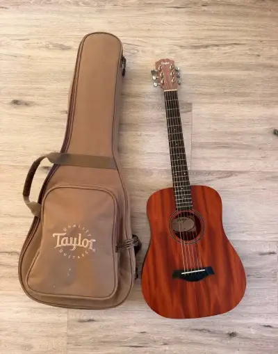 Taylor Baby BT2 Mahogany + originální obal