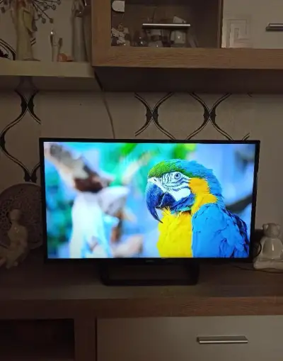 LED Televize Smart Philips 32PFS5362 uhlopříčka 80 cm DVB-T2