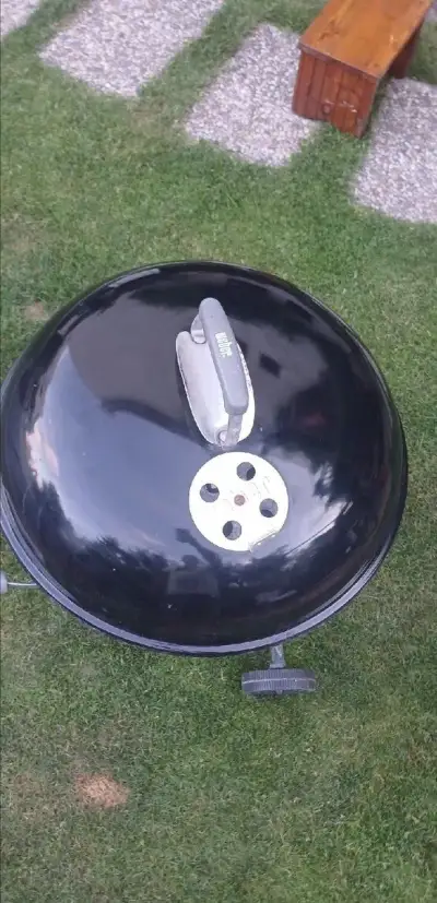 Gril Weber 57