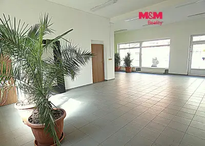 Pronájem obchodního objektu, 66 m², Ostrava, ul. Přemyslovců