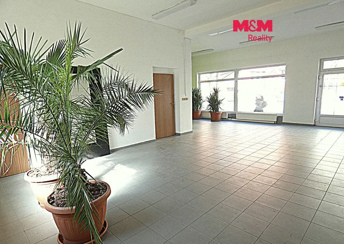 Pronájem obchodního objektu, 66 m², Ostrava, ul. Přemyslovců
