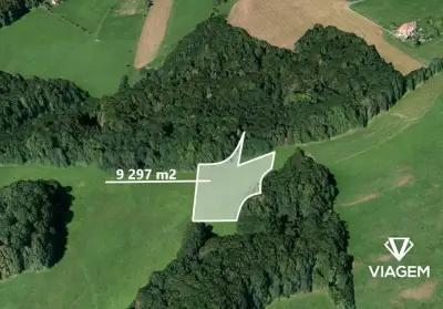 Pole 9 297 m², Podíl 33 % o výměře 3 099 m²