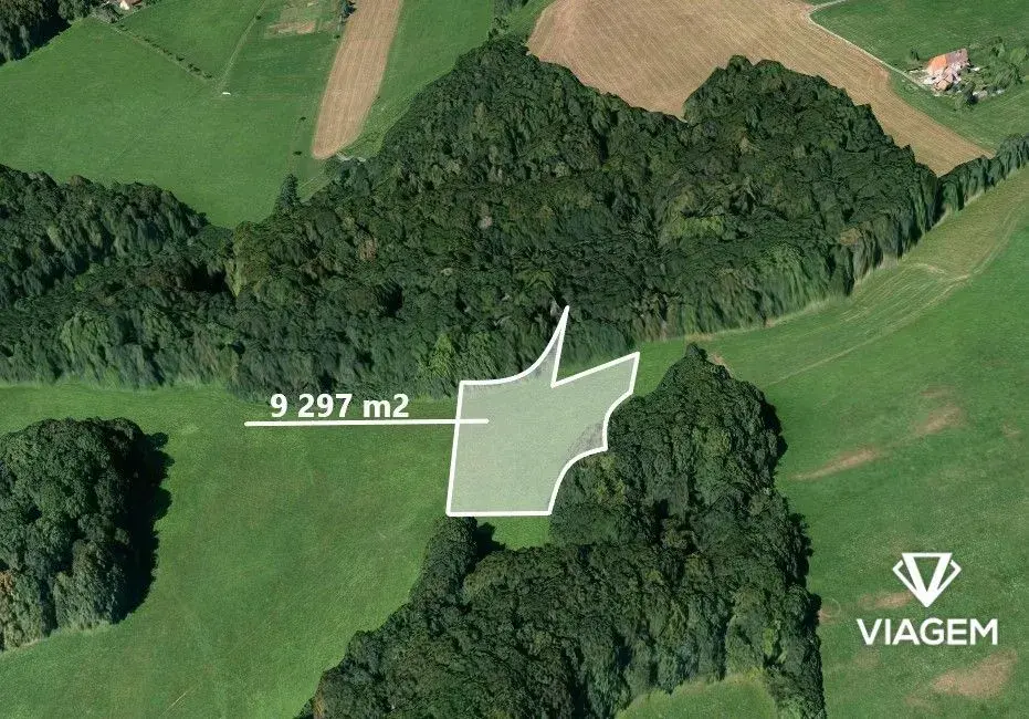 Pole 9 297 m², Podíl 33 % o výměře 3 099 m²