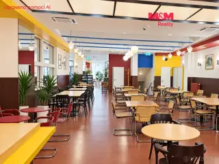 Pronájem komerčního prostoru, 175m2, Brno - město