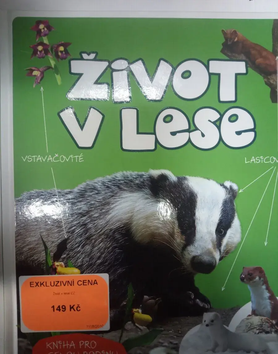 Život v lese