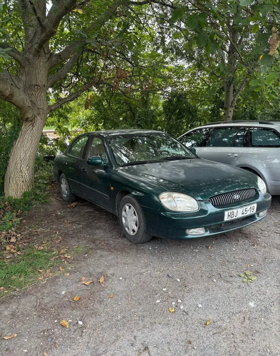 Sonata 2,5 V6