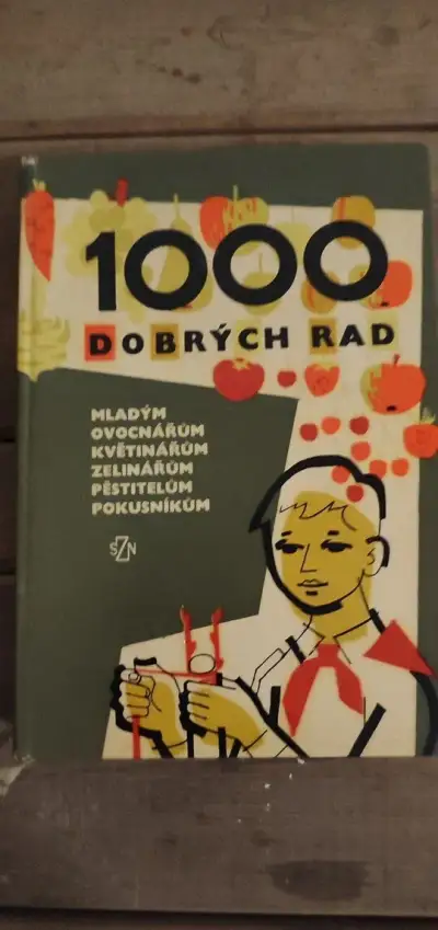 1000 rad