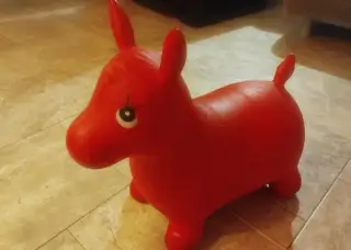 Hopsací koník