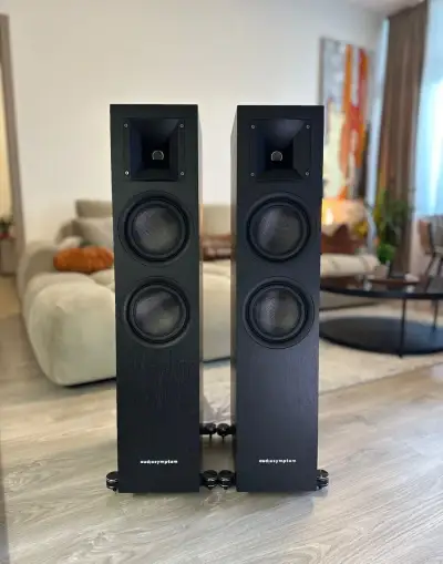 Audiosymptom i6