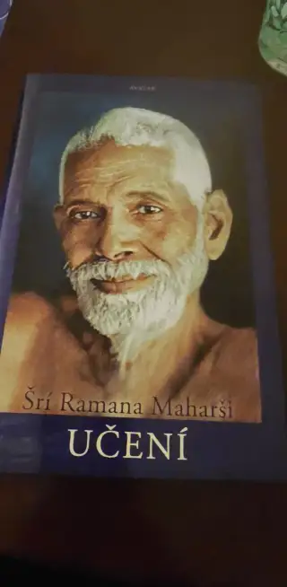 Šrí Ramana Maharši: Učení