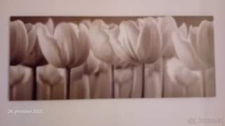 Obraz IKEA tulipany