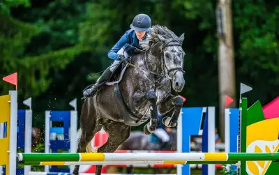 7letá sportovní klisna Hickstead White x Com Air