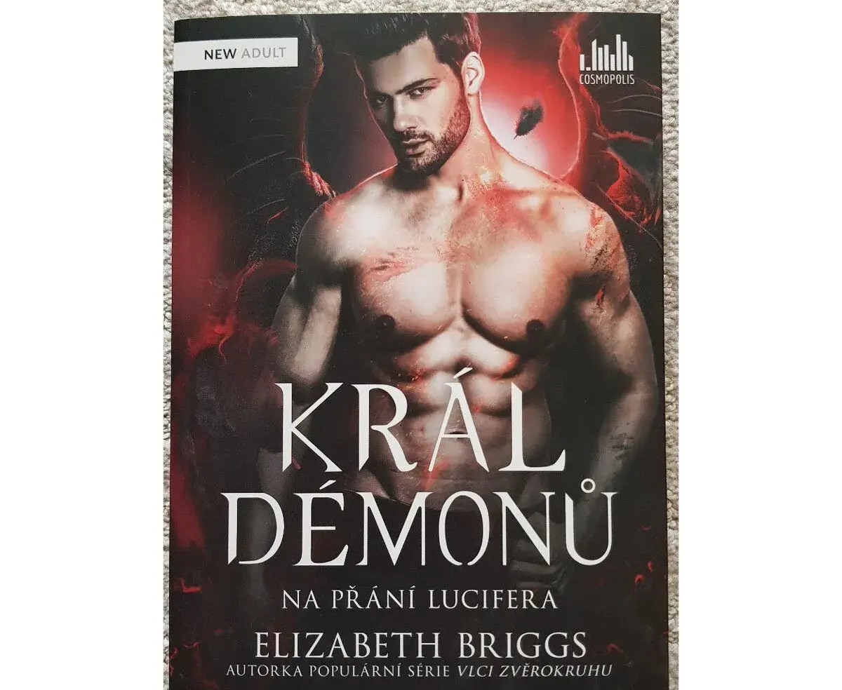 Král démonů (Elizabeth Briggs)