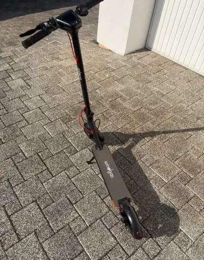 Elektrická koloběžka Windgoo M12