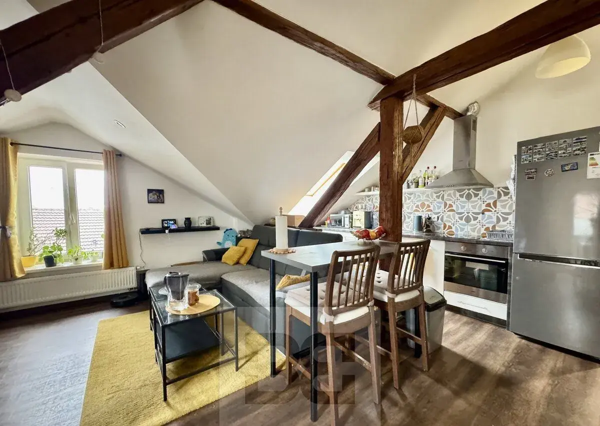 Pronájem bytu 3+kk 100 m², Brno - Horní Heršpice