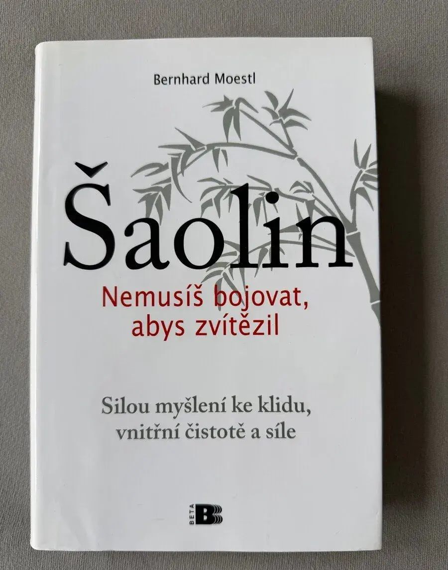 Šaolin – Nemusíš bojovat, abys zvítězil – Bernhard Moestl