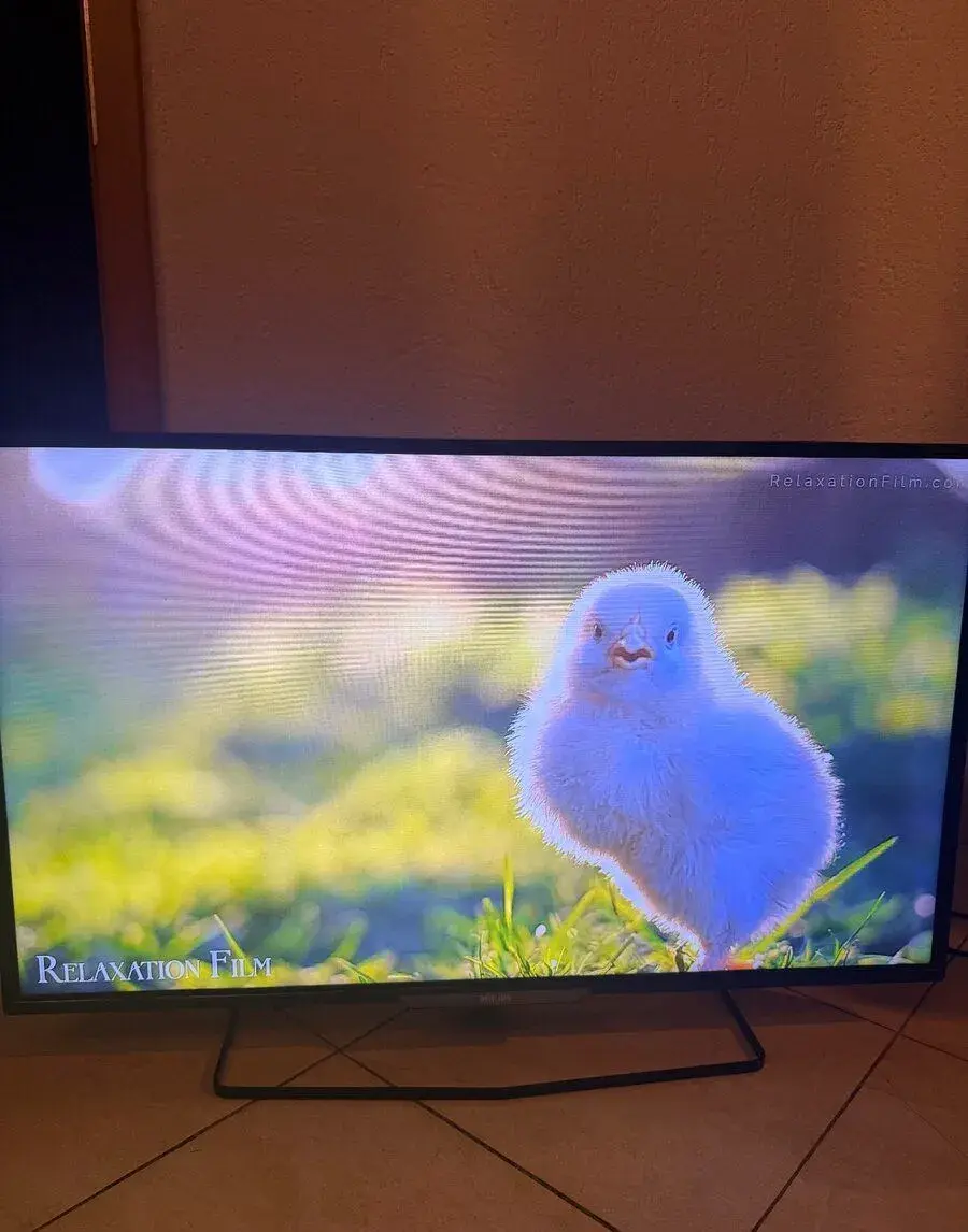 TV Phillips 40" 102 cm Full hd